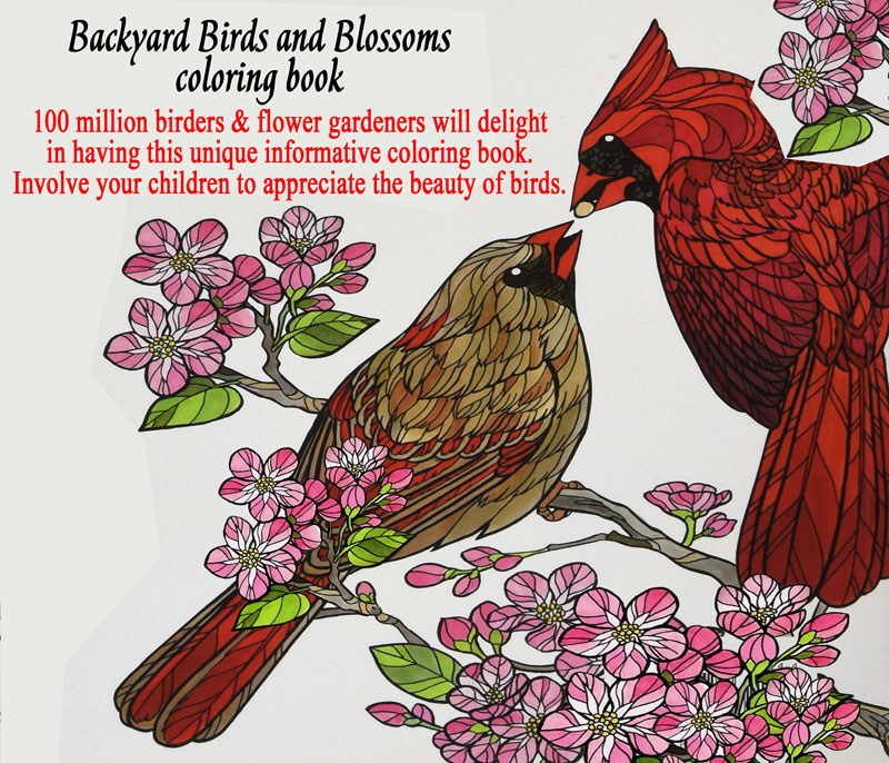 Download Birds And Blossoms Coloring Book Picture3 Wings Of Love